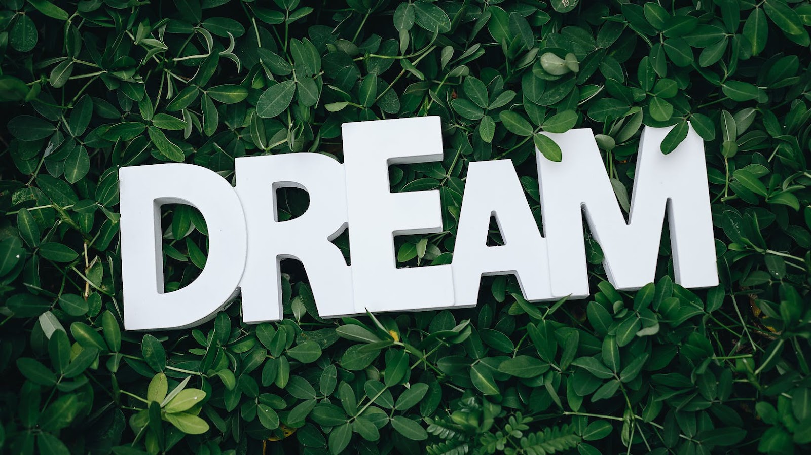 The Science of Dreams: Understanding the Brain’s Role in Dreaming